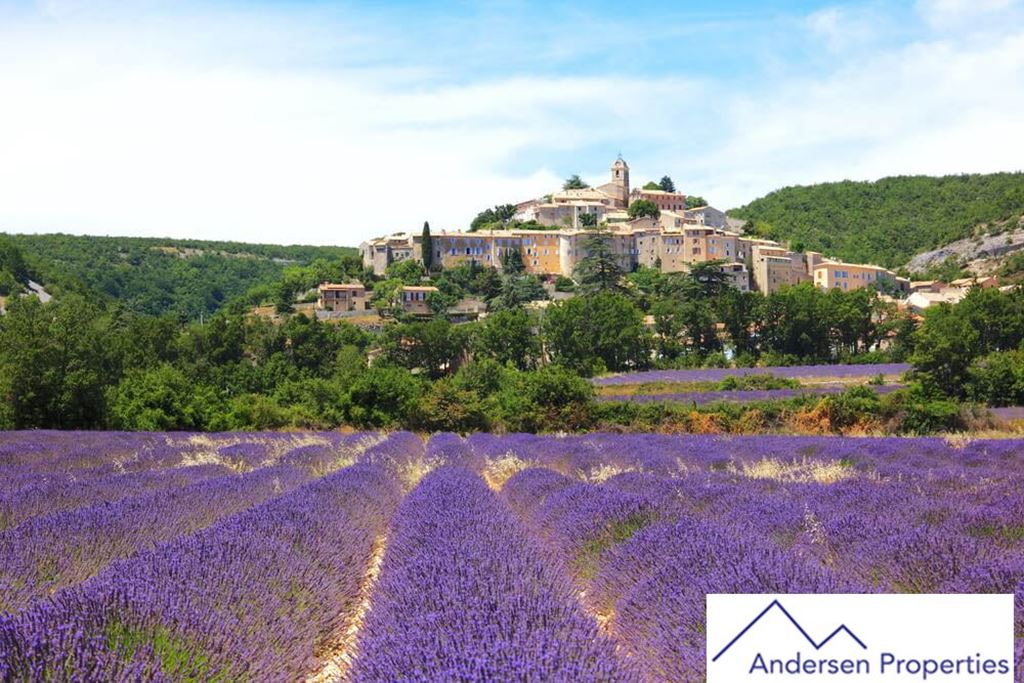 Exploitation viticole HYERES 2500000€ ANDERSEN PROPERTIES Exploitation viticole HYERES 2500000€ ANDERSEN PROPERTIES